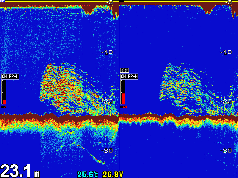 HONDEX HDX-12C クリアチャープ画像例1