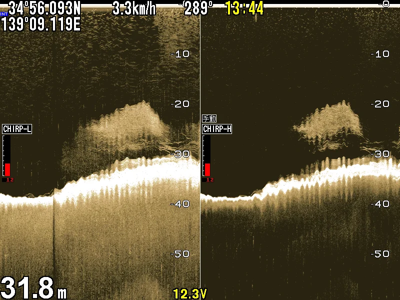 HONDEX HDX-12C クリアチャープ画像例3