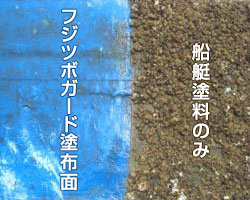 フジツボガード メーカー実証実験