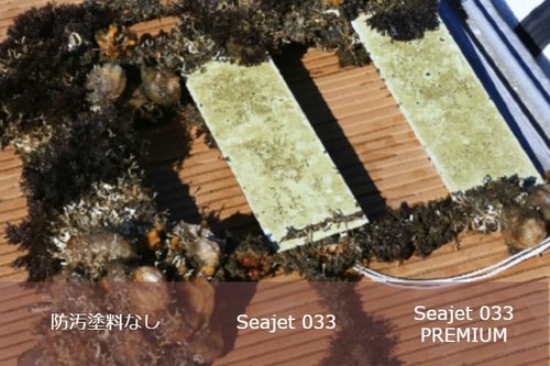 Seajet 033 PREMIUM 16ヵ月防汚試験