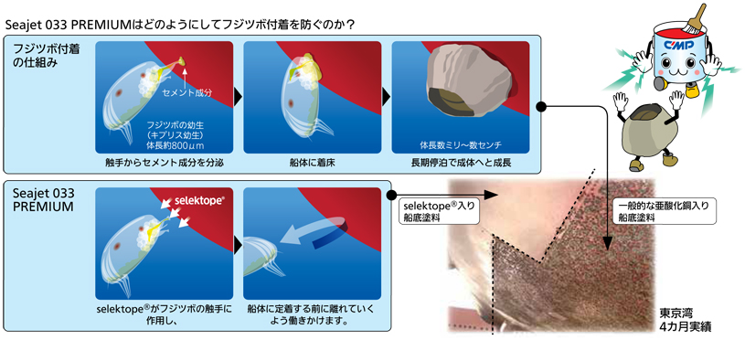Seajet 033 PREMIUM selektope フジツボ防汚メカニズム